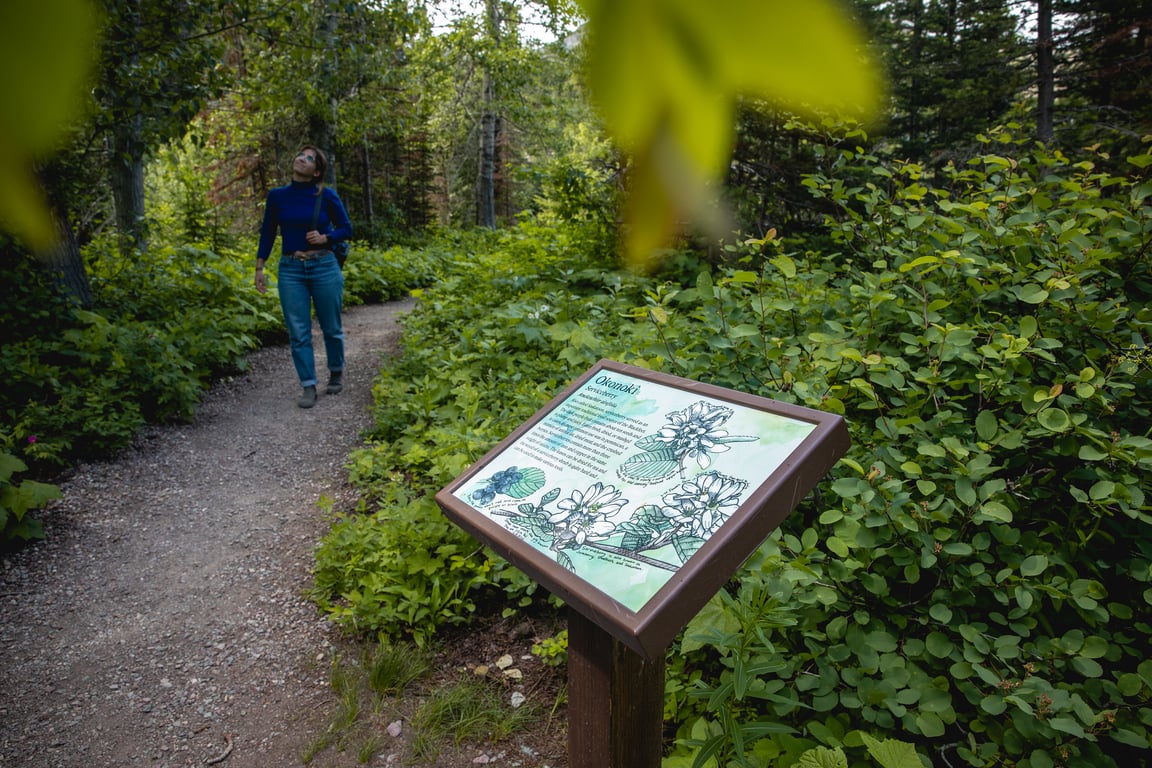 Two Medicine Lake Scenic Boat Tour in Glacier Park Tour Image 9
