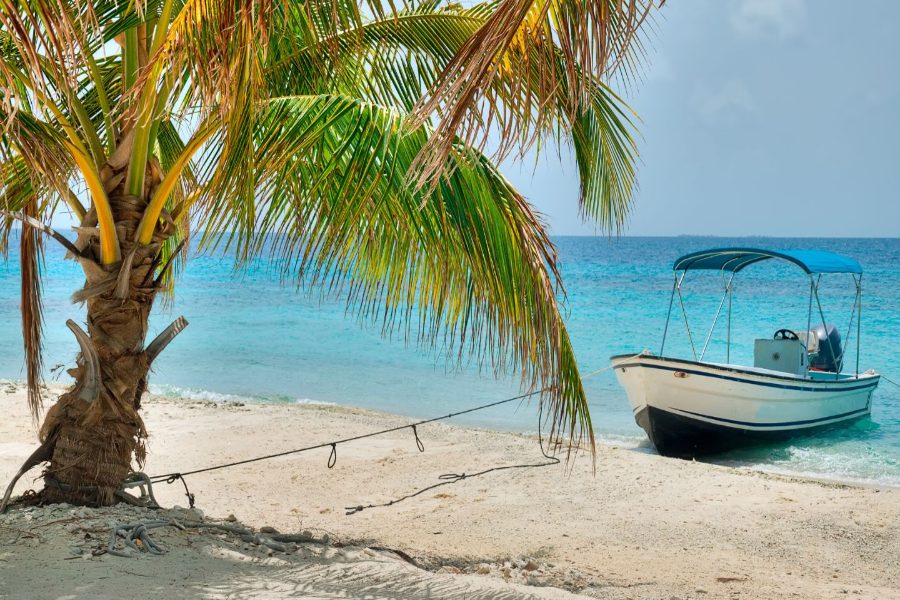 Our Local Expert's Guide to the Blue Hole of Belize
