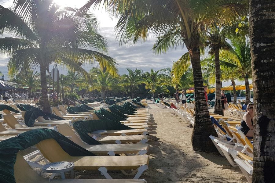 A sunny beach lined with lounge chairs and tall palm trees.
