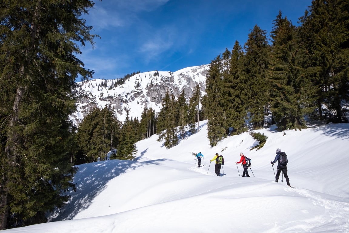 Trekker 3/4 Day Snowshoe Tour Image 4