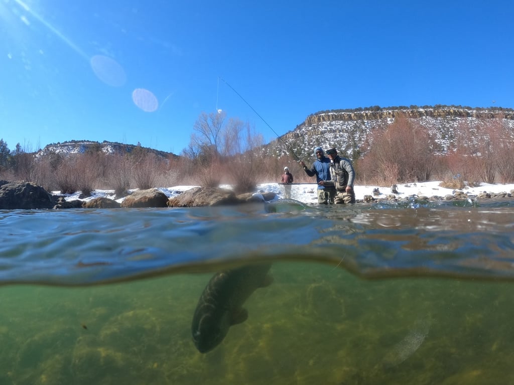 Winter Fly Fishing The Uncompahgre - Full Day image