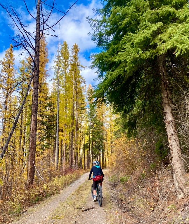 Your Ultimate Guide to Biking in Glacier National Park