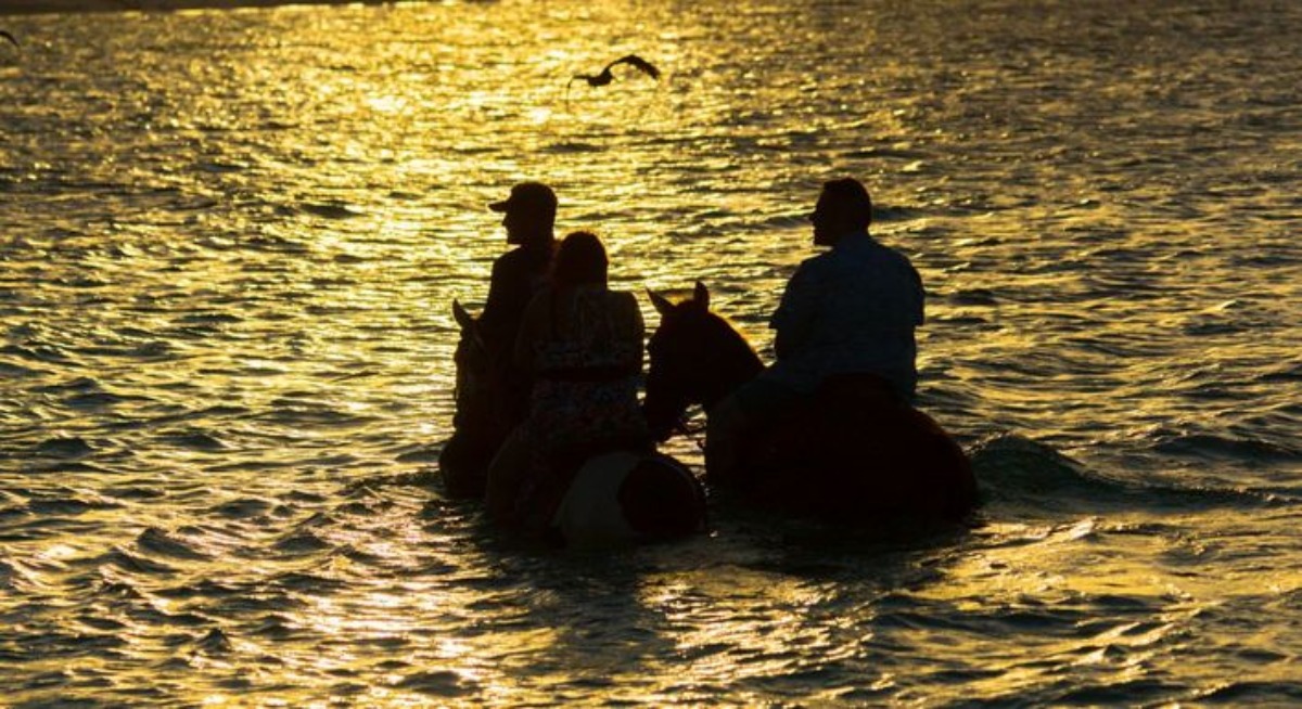 Sunset Ride N Swim Tour image