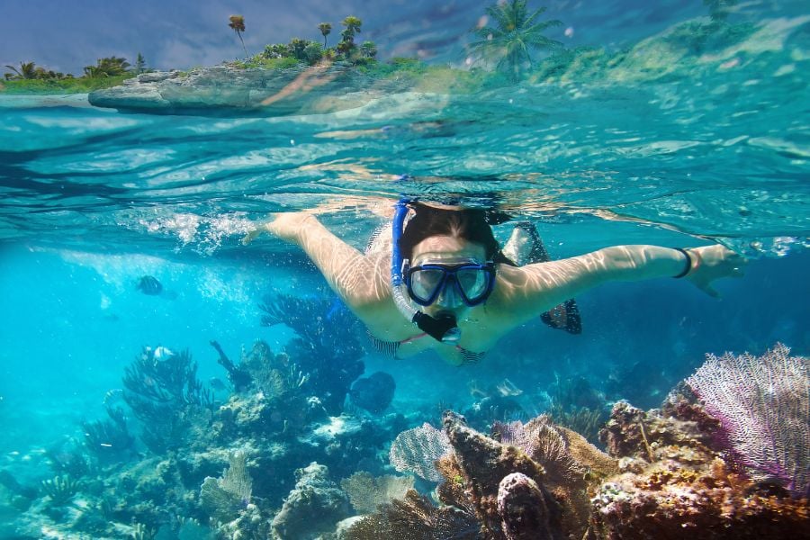 A snorkeler glides over a colorful coral reef in clear tropical waters.