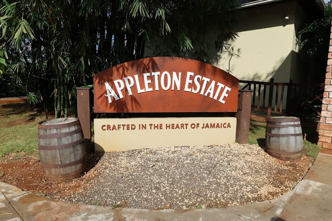 Black River, YS Falls & Appleton Estate Combo Tour Image 2