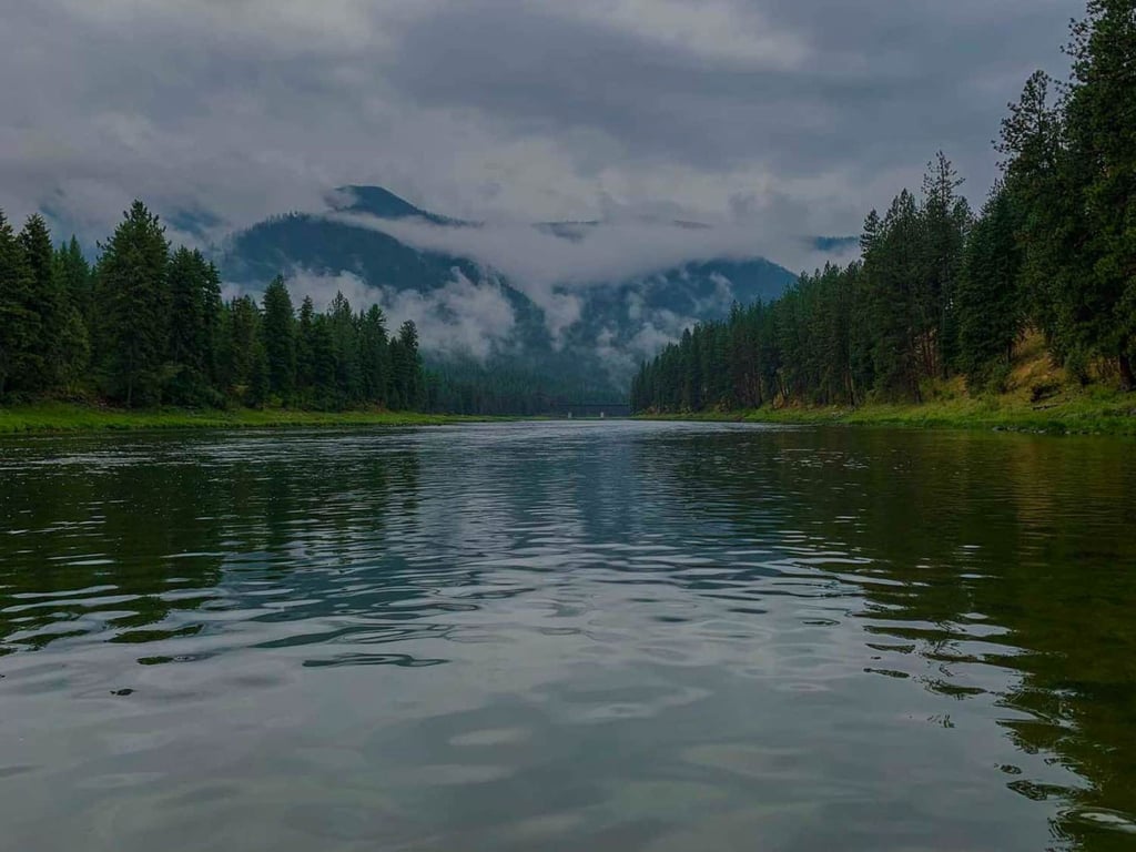 Clark Fork River Fly Fishing Tour Image 3