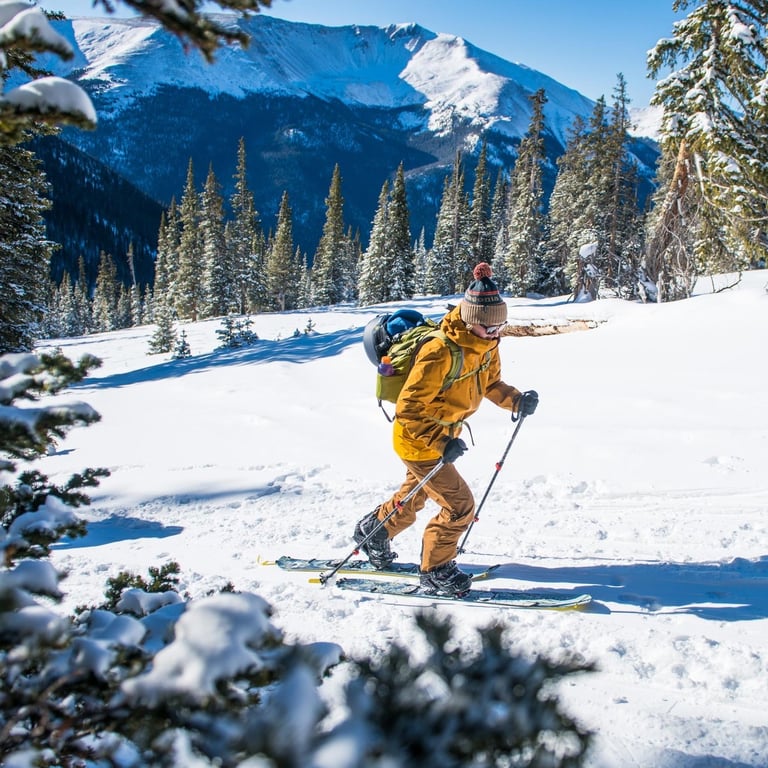 Guided Backcountry Skiing Tour Tour Image 4