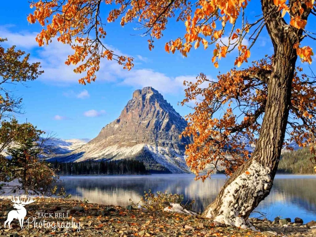 Glacier National Park Full-Day Photography Workshop image