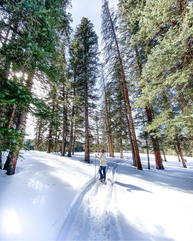 Telluride Winter Bliss Snowshoe Tour | Private Guided Escape image