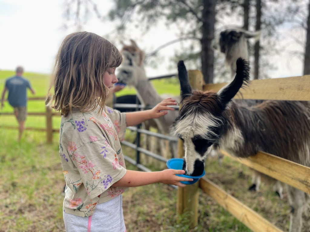 Private Llama Trek Experience Tour Image 3