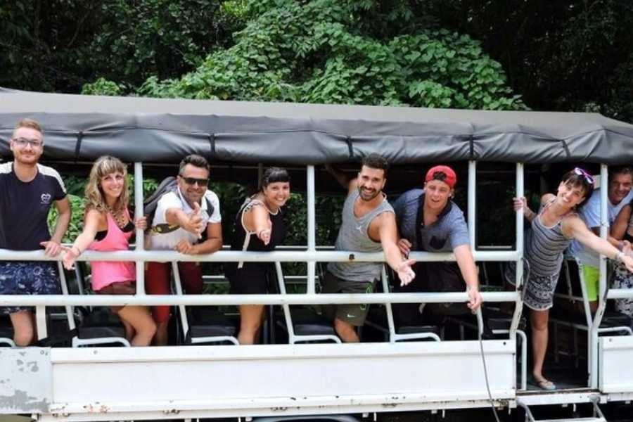 A group of excited travelers enjoying a jungle tour on an open-air vehicle.