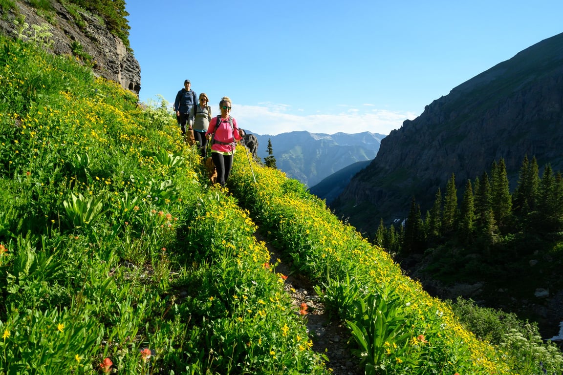 Telluride Hiking Tour - Half Day image