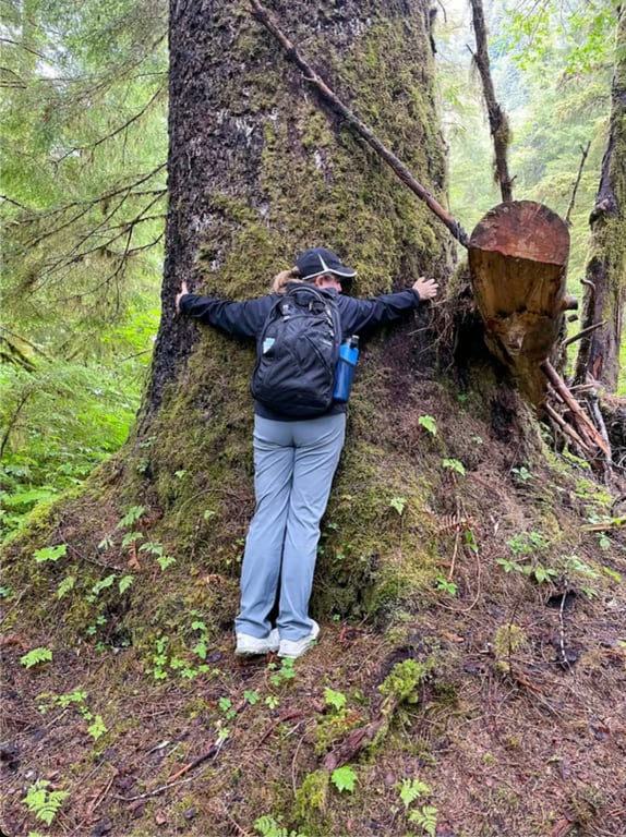 Private Old-Growth Creek Hiking Tour Tour Image 6
