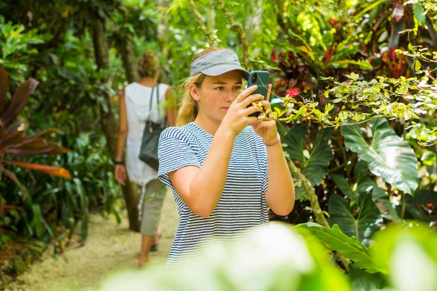 A girl is taking a picture of flowers with her mobile phone