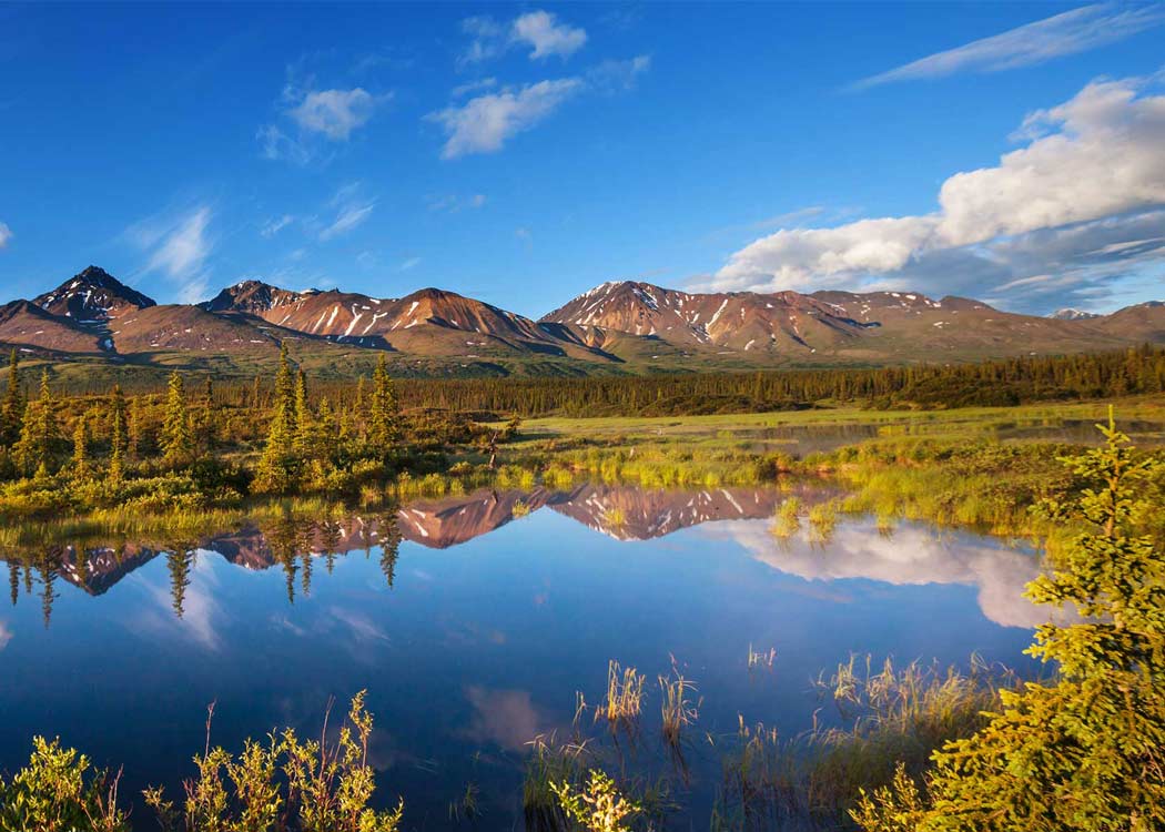 Private Emerald Lake Tour Tour Image 3