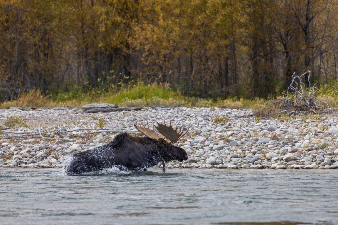 Full Day Walk & Wade Tour Image 5