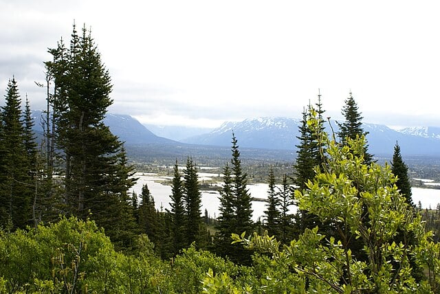 Our Local Expert's Guide to Klondike Highway