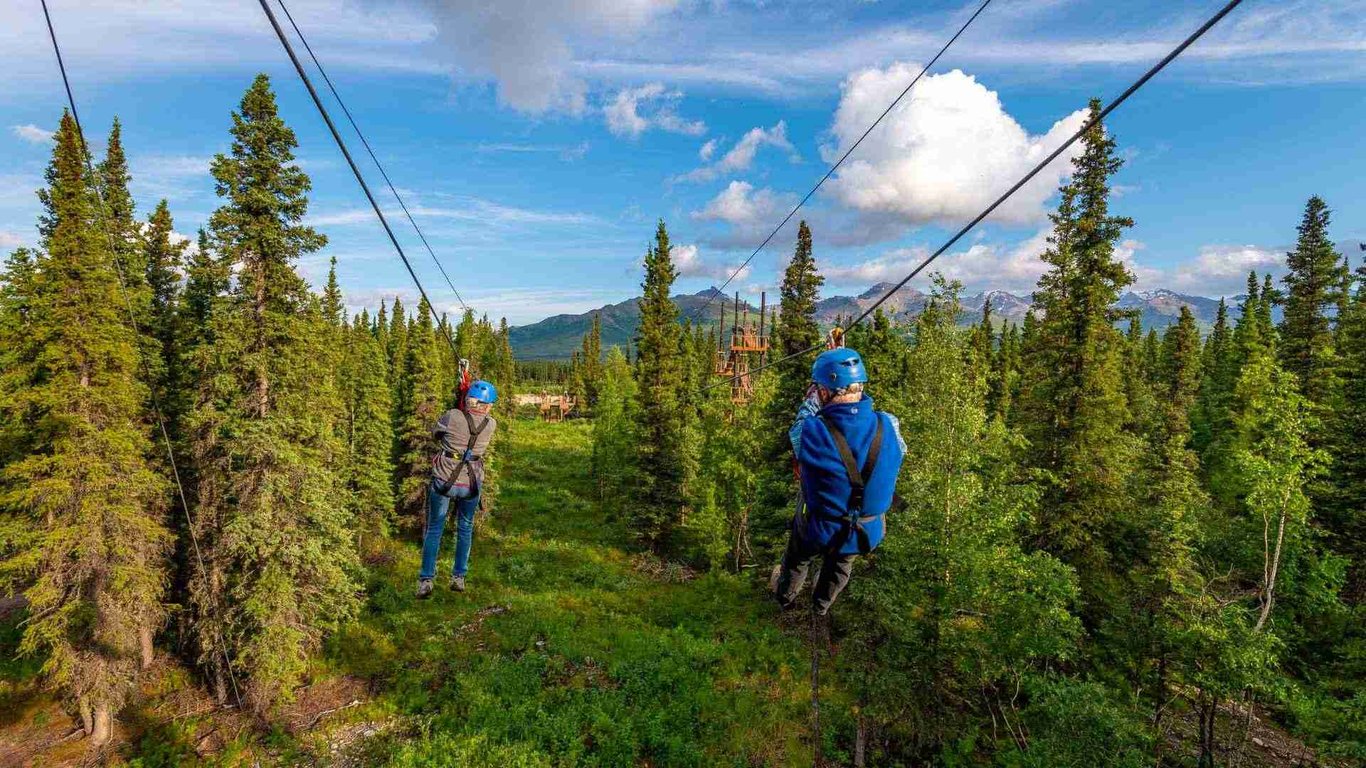 Denali Park Zipline Adventure Tour Image 7