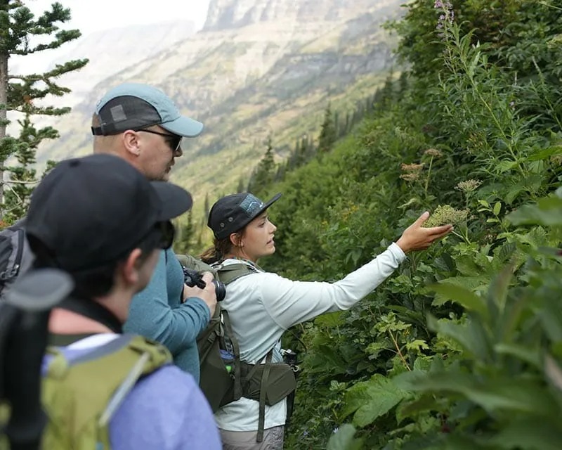 St. Mary Falls Glacier Park Guided Day Hike Tour Image 7