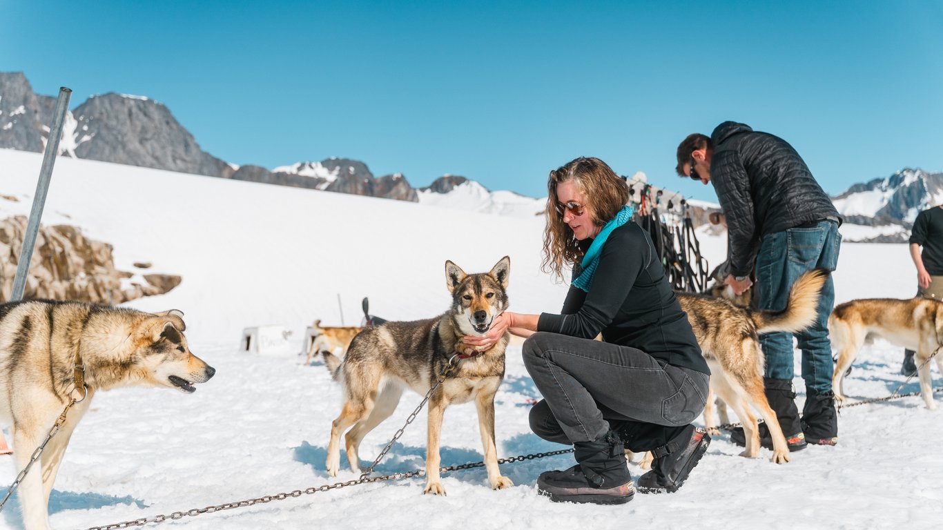 Helicopter Glacier & Dog Camp Adventure Tour Image 8