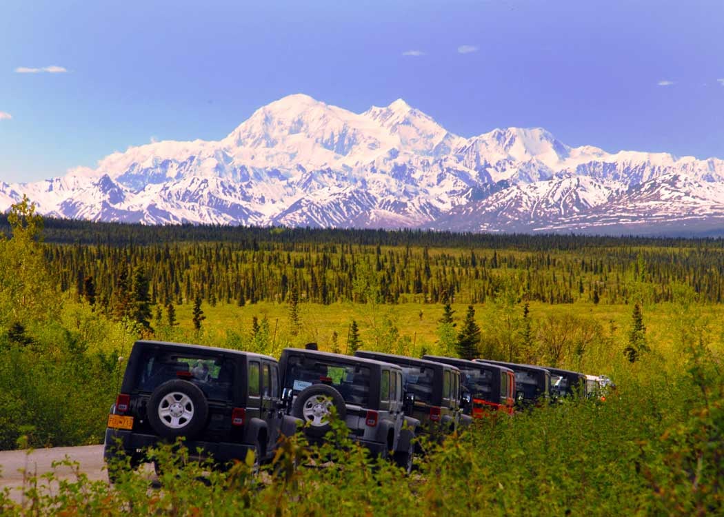Thumbnail of video about Sightseeing in Denali