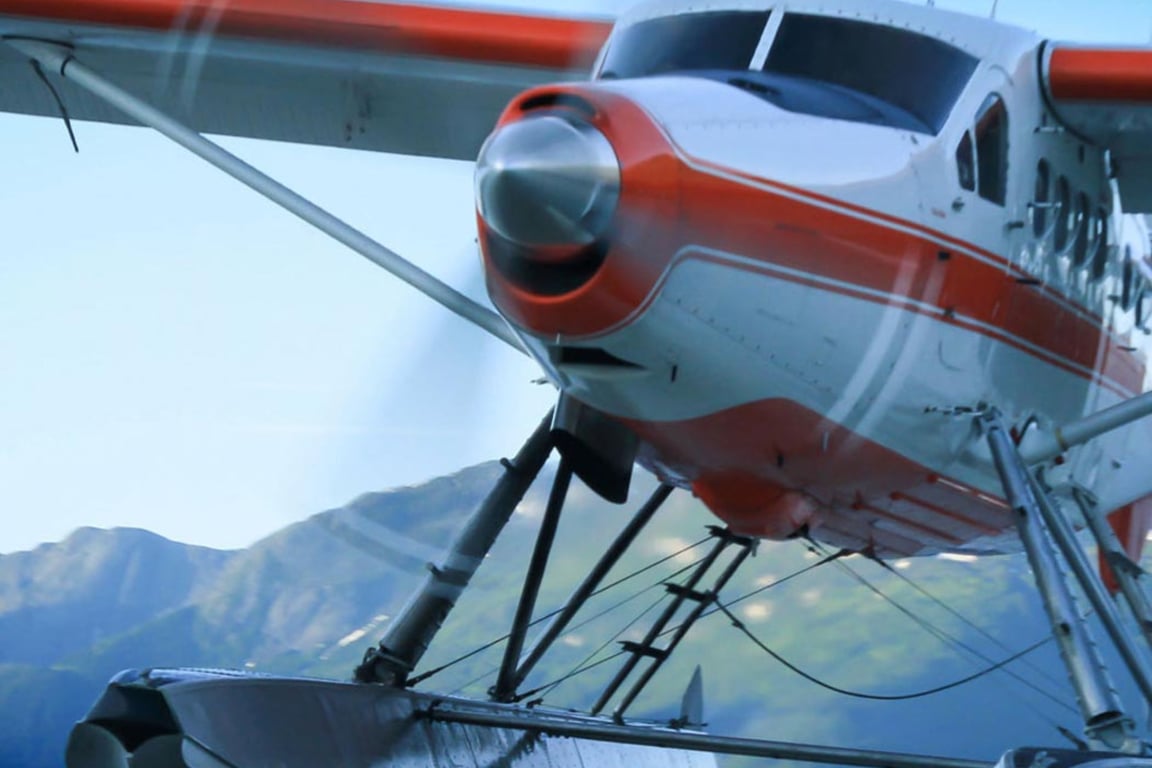 5 Glacier Seaplane Exploration Tour Image 10