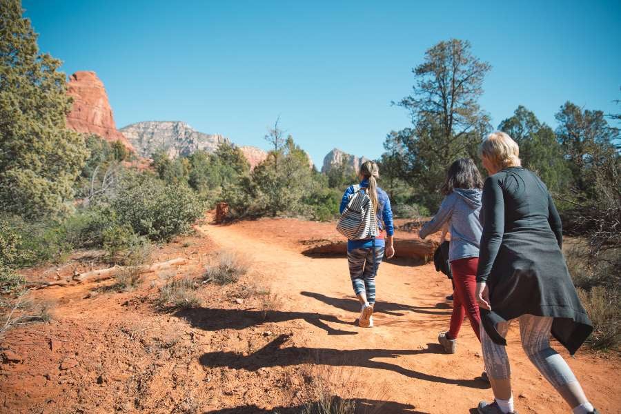 A group of women hike through a forest trail with sunlight shining on the path.