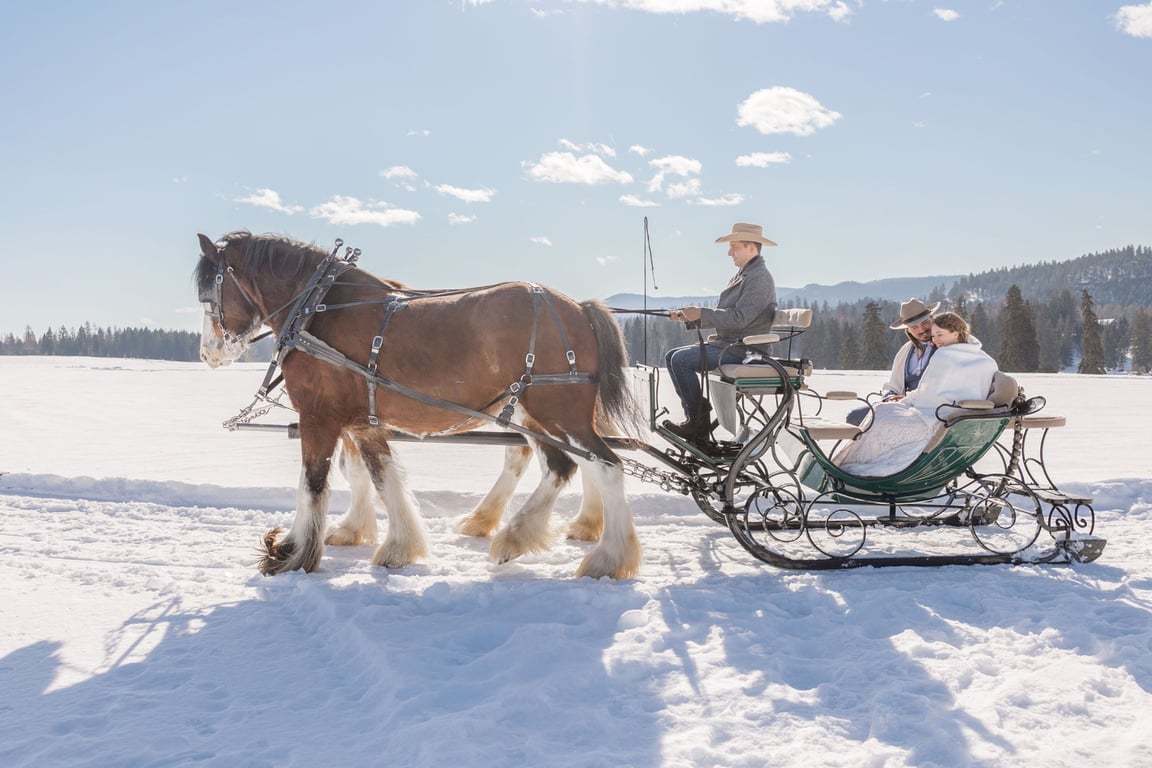 a couple in a winter sleigh ride