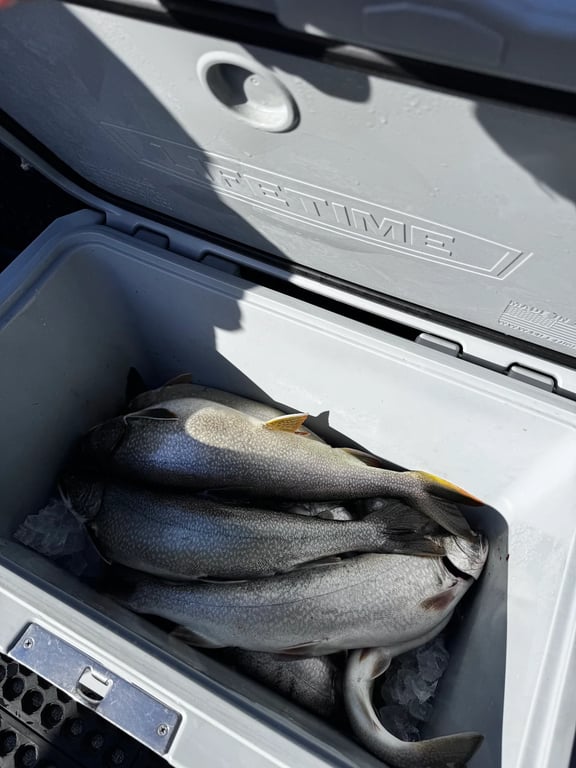 Chartered Fishing Trip review image 1