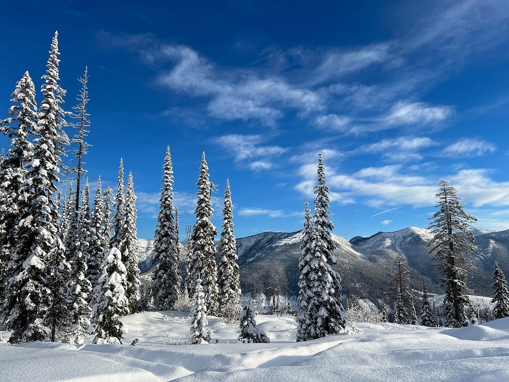 Winter Wonderland review image 0
