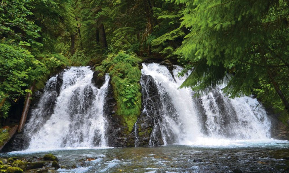 Thumbnail of video about Cultural in Juneau