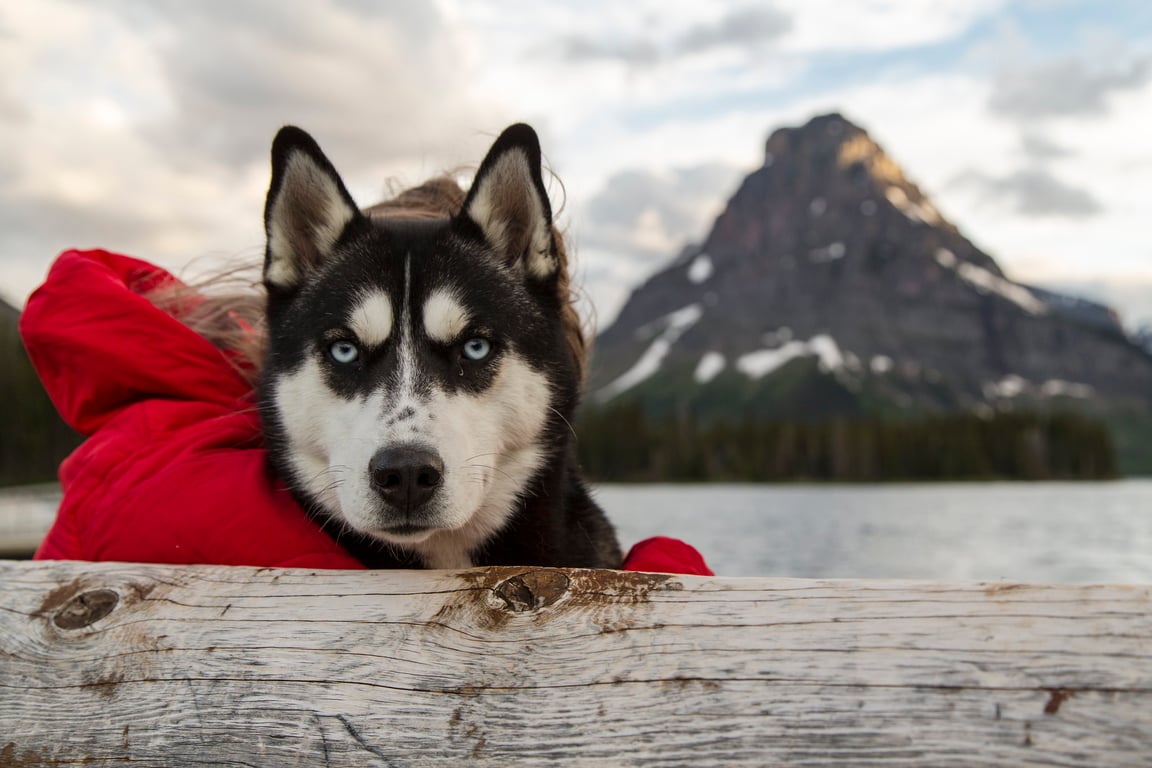 What To Pack When Visiting Glacier National Park: A Month-By-Month Guide image