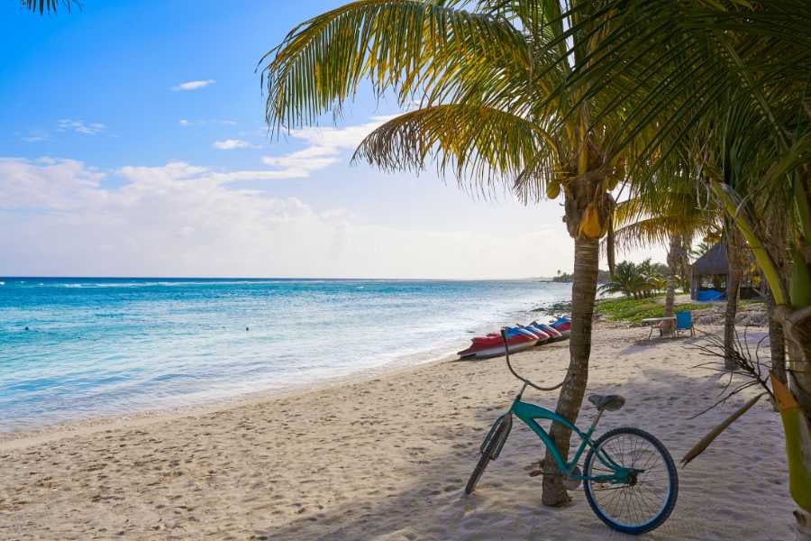 A beautiful view of the beach