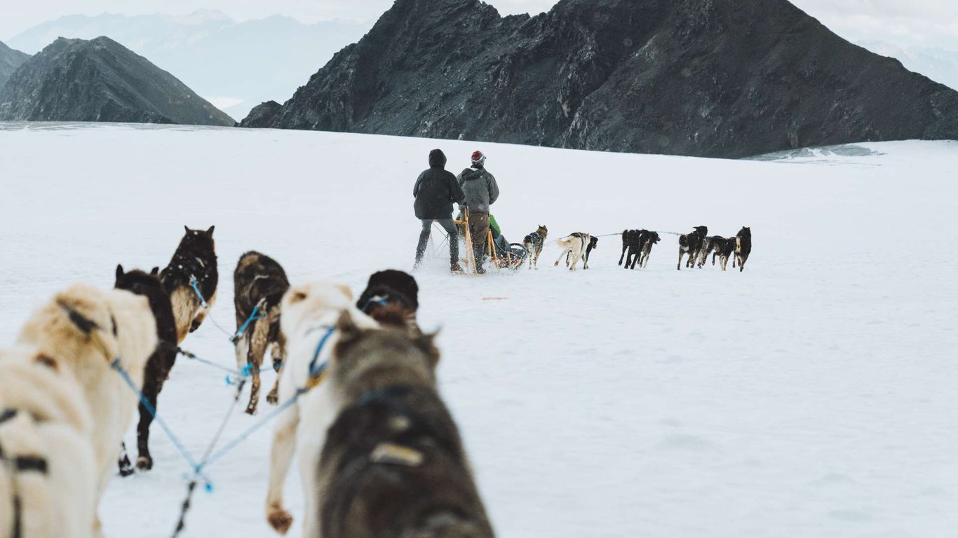 Anchorage Helicopter and Glacier Dogsled Tour Tour Image 6