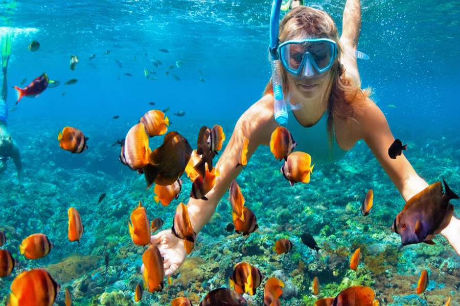 What To Do In Cozumel? - Your Guide To The Top 13 Things To Do