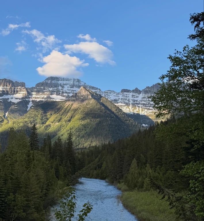 Private West Glacier Scenic Driving Tour Tour Image 9