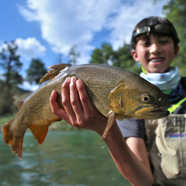 Fly Fishing Walk Wade - Half Day Tour Image 7