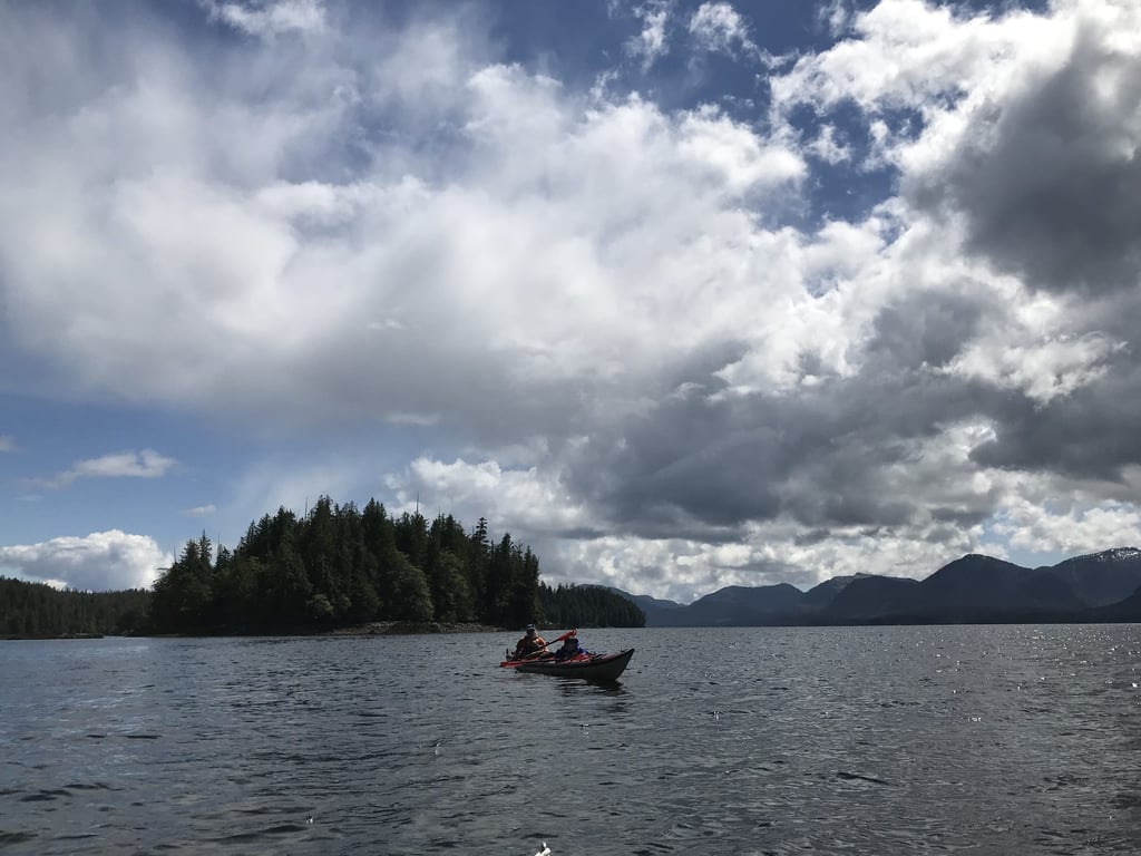 Great way to slow down and explore the wildlife of Ketchikan! review image 3