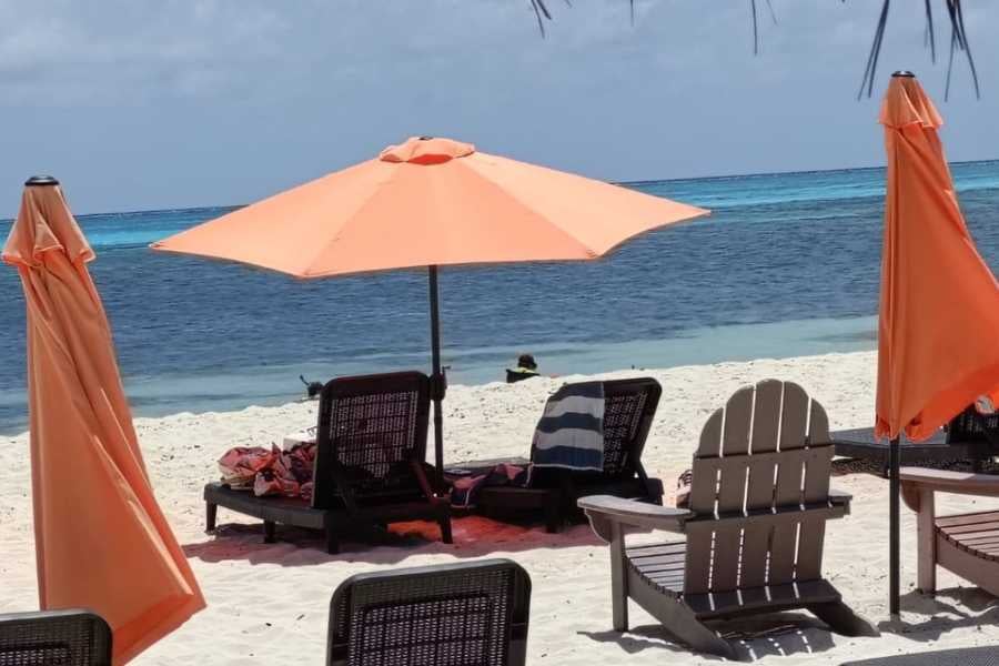 Relaxing beach chairs and orange umbrellas face a sparkling ocean, inviting visitors to soak in the peaceful view.