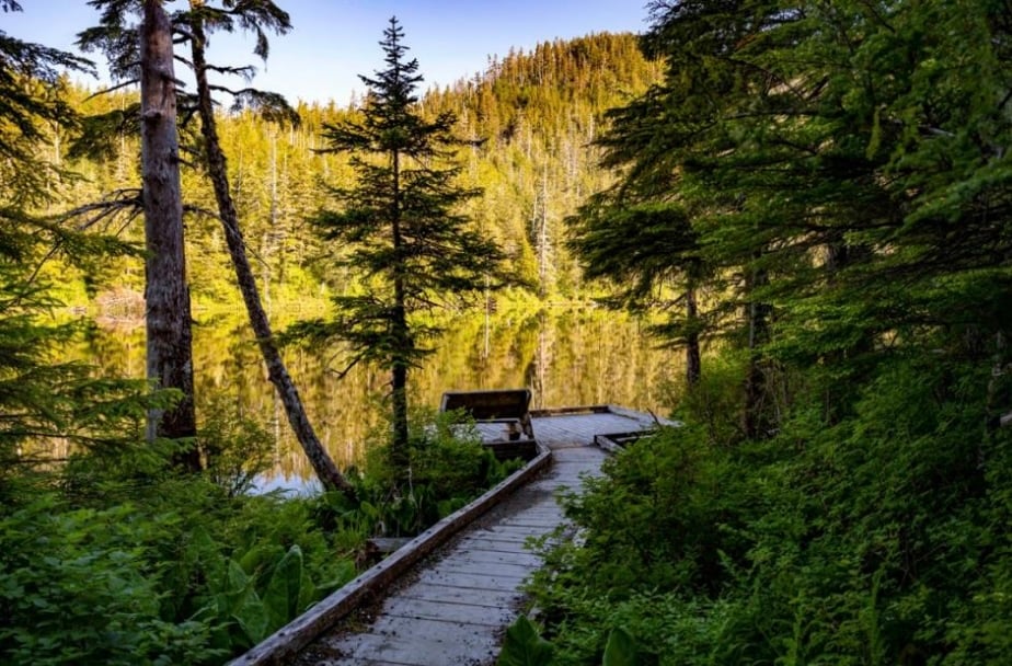 Private Ketchikan Mountain Lake Trek Tour Image 6