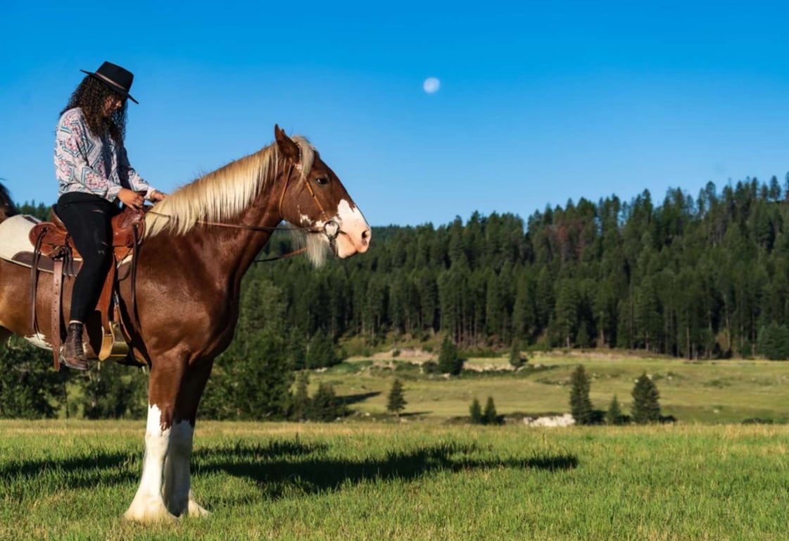 Clydesdale Horseback Riding Tour Image 3