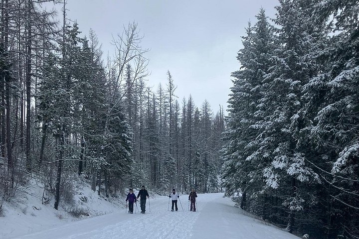 Glacier Park Full-Day Private Snowshoe Tour Tour Image 6