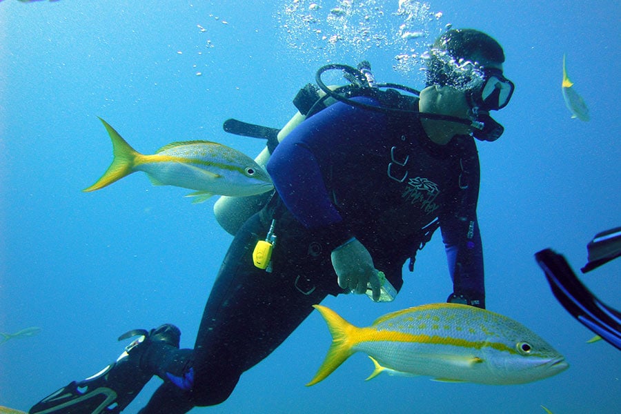 Diving in Roatan