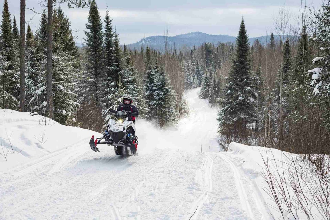 a snowmobiler riding on a forest trail