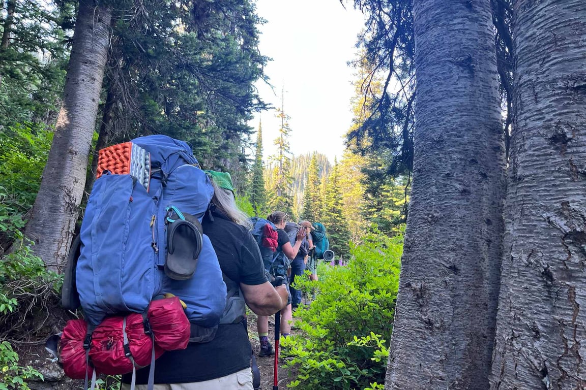 Private Montana Wilderness Hike Tour Image 2