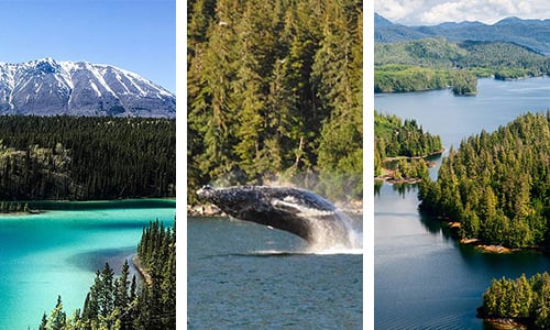 Alaska Tour Packages