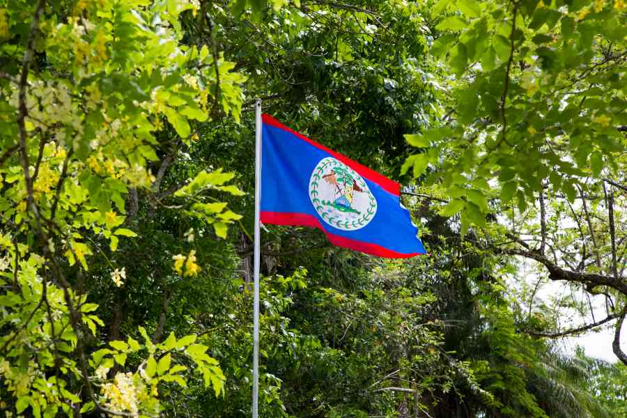 Belize national flag