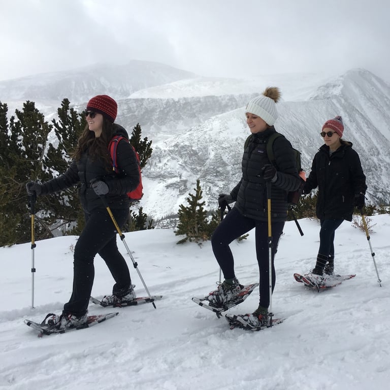 Guided Snowshoe Tour - Half Day Tour Image 3