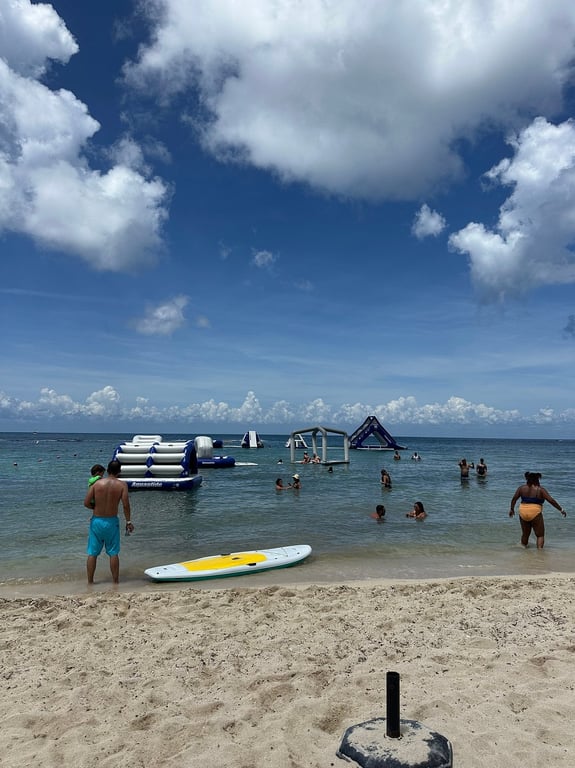 Cozumel tour with Sergio review image 0