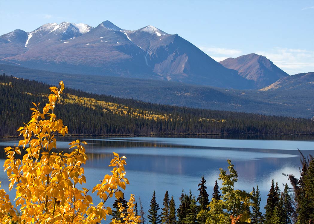 Private Emerald Lake Tour Tour Image 6